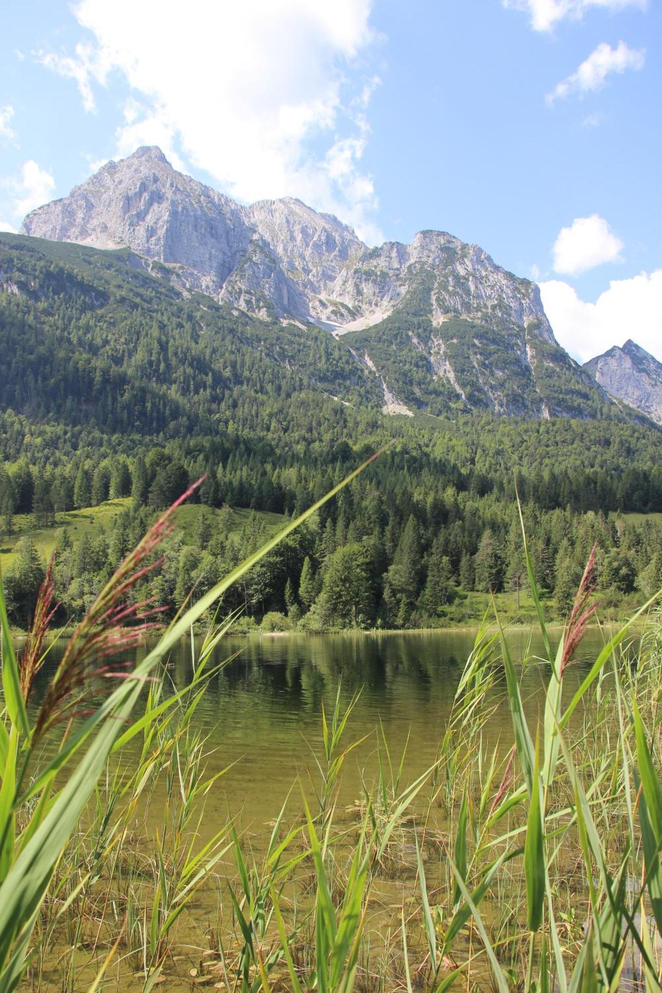 Karwendelblick * Mittenwald