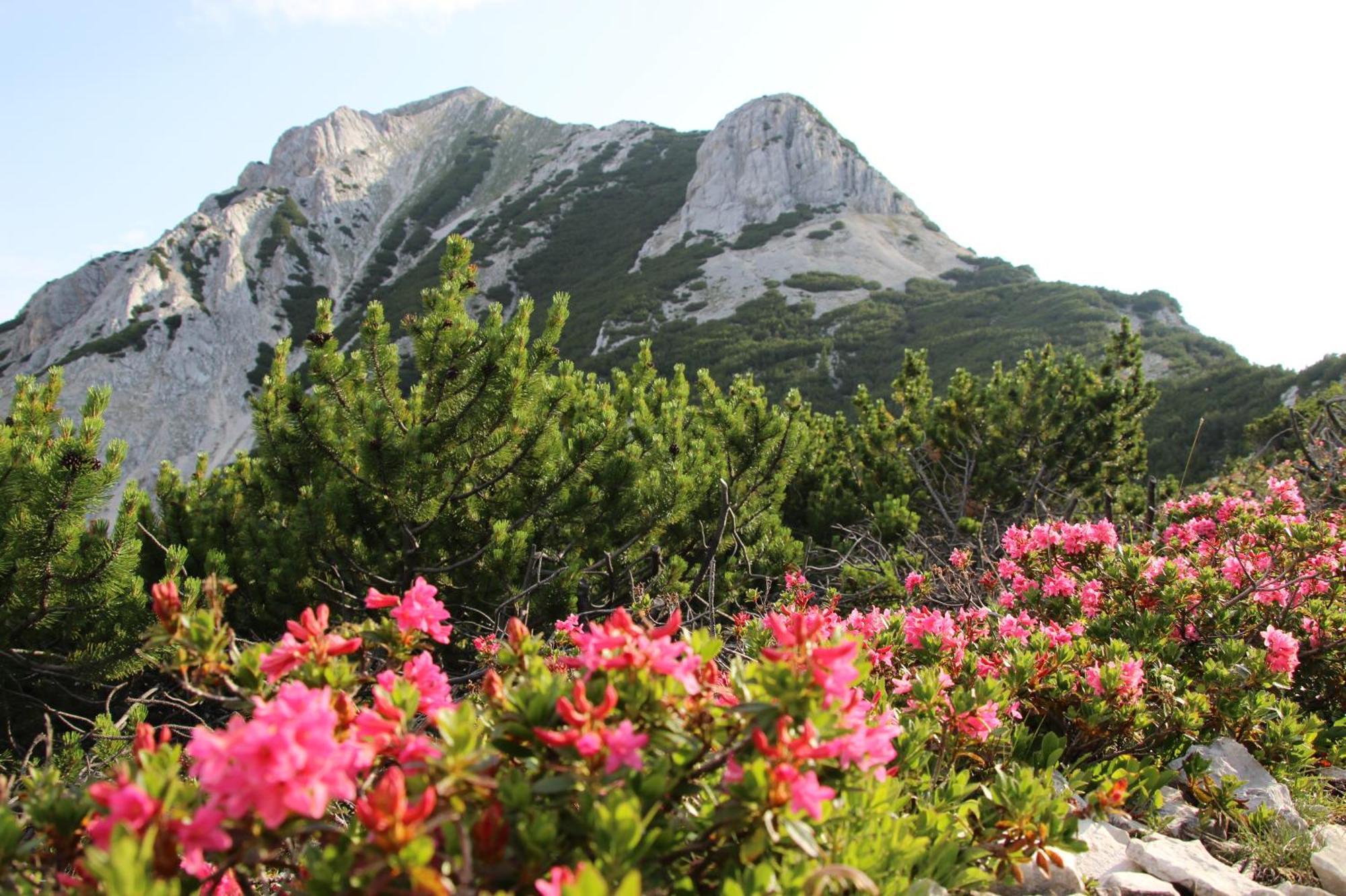 Karwendelblick Apartment Mittenwald